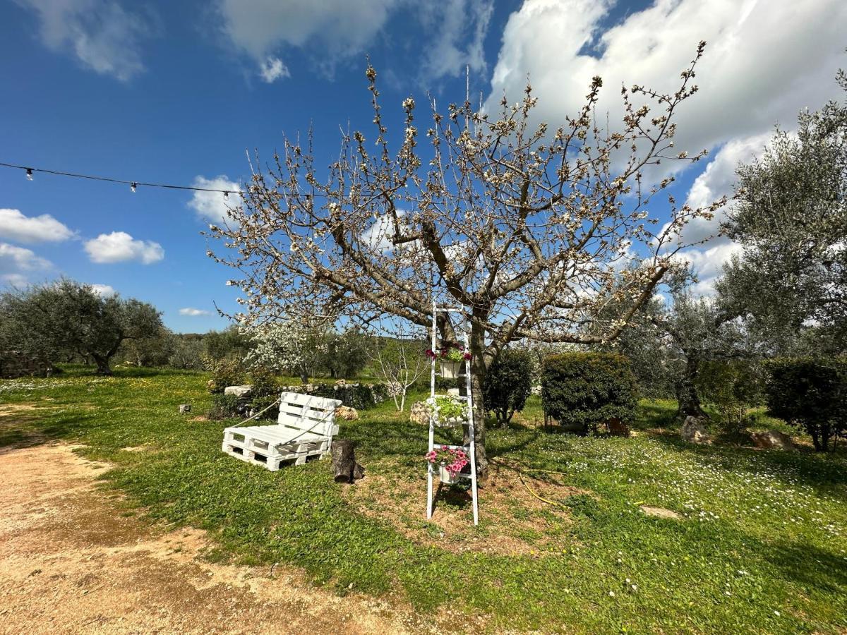 Penzion Trulli Barsento Alberobello Exteriér fotografie